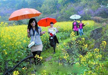 清明節(jié)為什么要踏青？清明節(jié)踏青有什么好處？