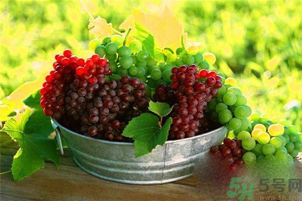 高血脂吃什么水果好？什么水果可以降血脂？