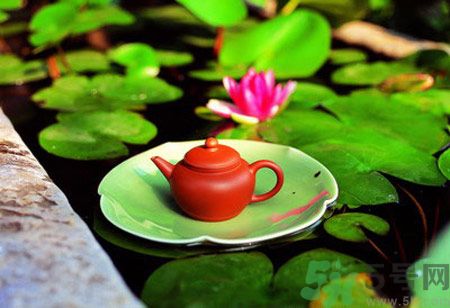 降血脂的茶有哪些？什么茶可以降血脂？
