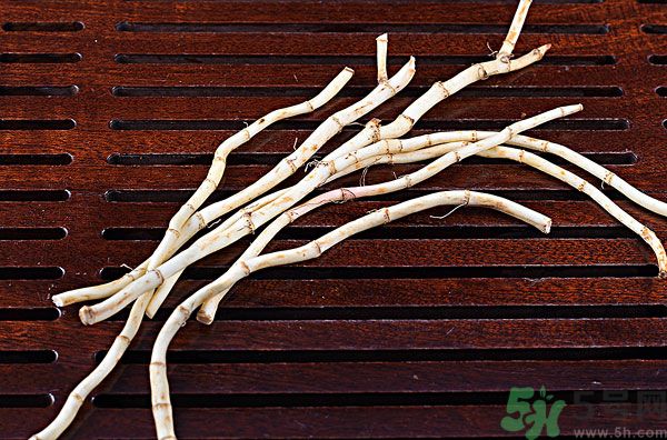 魚腥草能泡水喝嗎？魚腥草泡水喝有什么功效？