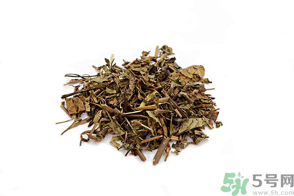 魚腥草能泡水喝嗎？魚腥草泡水喝有什么功效？