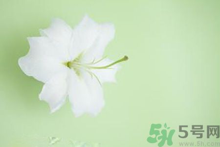 春季咳嗽怎么辦？春季咳嗽吃什么好？