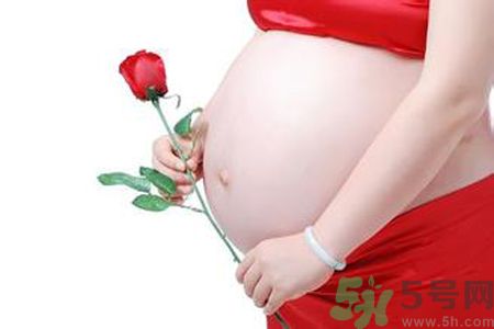 孕婦可以吃枸杞嗎？孕婦吃枸杞好嗎？