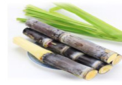 清明節(jié)可以吃甘蔗嗎？清明節(jié)不能吃哪些食物？