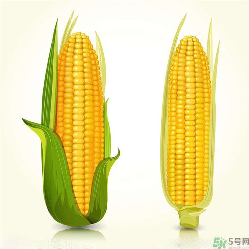 糖尿病可以吃玉米嗎？糖尿病吃玉米好嗎？