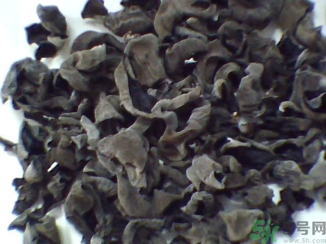 黑木耳的價(jià)格是多少？黑木耳要怎么挑選？