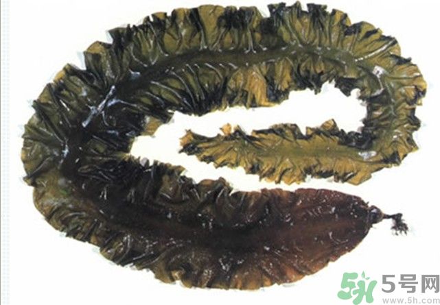 海帶用冷水泡還是熱水泡發(fā)？海帶怎么泡才不會(huì)發(fā)硬？
