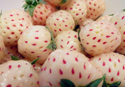 菠蘿莓孕婦能吃嗎？菠蘿莓懷孕可以吃嗎？