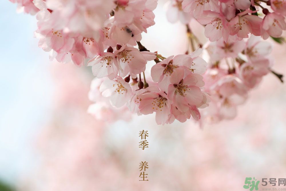 女性春季養(yǎng)生吃什么？女性春季怎么養(yǎng)生？