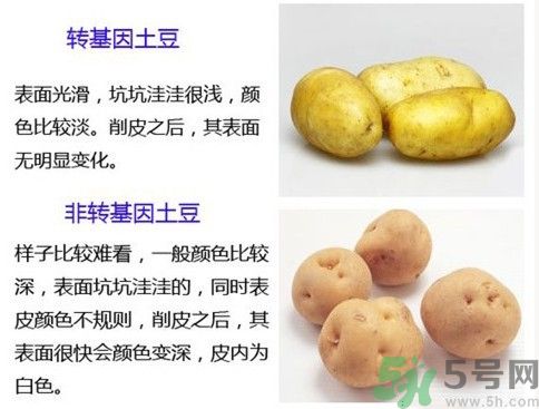 土豆變綠還能吃嗎？土豆變綠有什么危害？