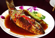 痛風(fēng)可以吃魚(yú)嗎？痛風(fēng)可以吃什么魚(yú)？
