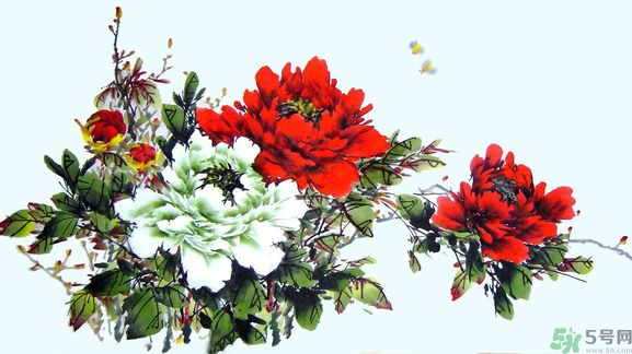 牡丹的花語是什么？牡丹的寓意是什么？