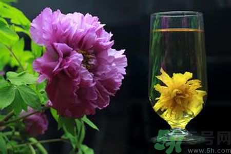 牡丹花可以和菊花一起泡嗎？牡丹花和菊花一起泡茶好嗎？