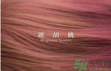 九大色系染發(fā)要怎么選擇？九大色系染發(fā)有什么要求？