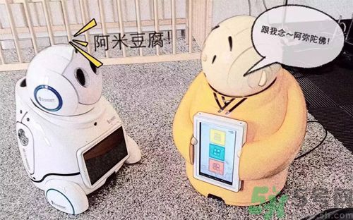 機(jī)器僧哪里可以買到？機(jī)器僧多少錢？