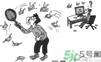 1分鐘被騙334萬 釣魚郵件內(nèi)容是什么？