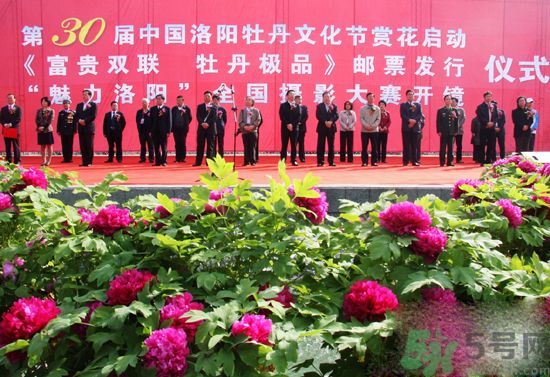 洛陽牡丹文化節(jié)活動有哪些？洛陽牡丹文化節(jié)門票是多少？