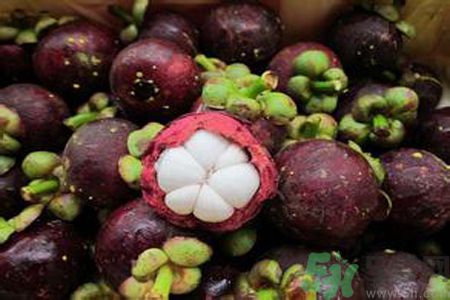 山竹可以和牛奶一起吃嗎？山竹和牛奶一起吃好嗎？