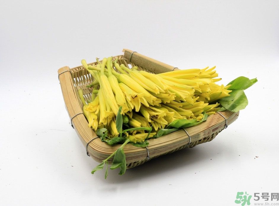 黃花菜可以治療抑郁癥嗎？兩噸黃花菜治好了抑郁癥是真的嗎？