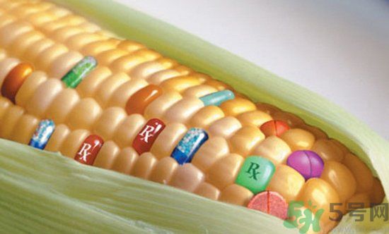 農(nóng)業(yè)部怎樣回應(yīng)轉(zhuǎn)基因食品？轉(zhuǎn)基因的食物有哪些？