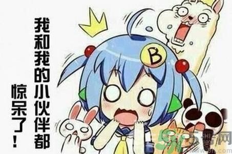 自創(chuàng)職業(yè)逗悶師是做什么的？自創(chuàng)職業(yè)逗悶師工資多少？