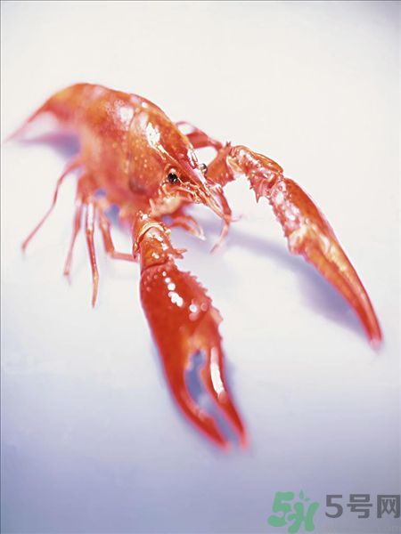 油燜大蝦為什么肉散了？油燜大蝦怎么做肉不散？