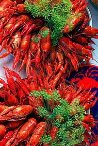 油燜大蝦用的是什么蝦？油燜大蝦用什么蝦最好？
