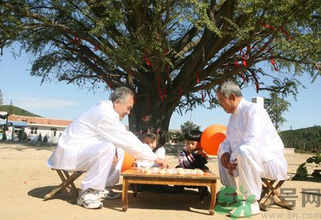 多運動可以長壽嗎？長壽的秘訣是什么？