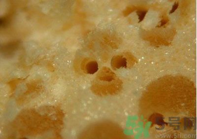 經(jīng)常用一次性筷子可以嗎？一次性筷子有病毒嗎？
