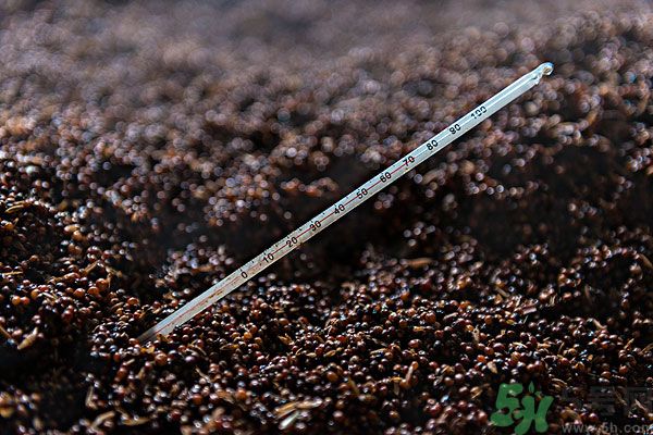 嬰兒測(cè)溫湯匙怎么樣？嬰兒測(cè)溫湯匙好用嗎？