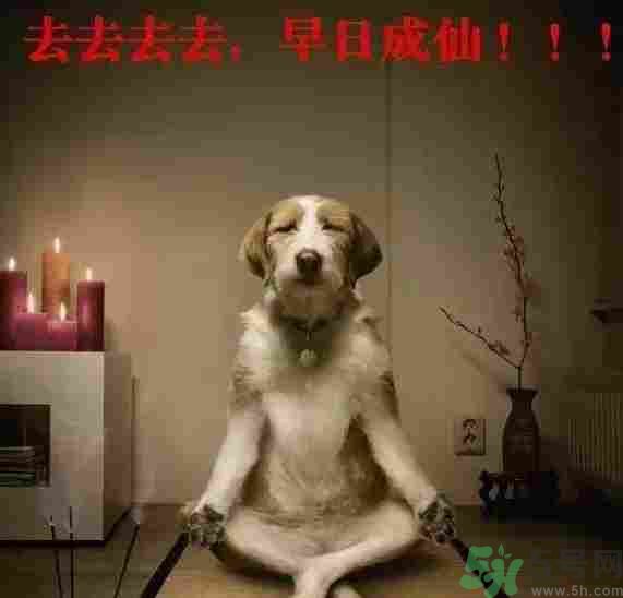 早餐吃面還是包子比較好？早餐吃包子和面健康嗎？