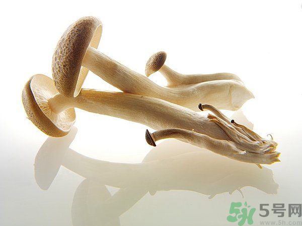 菇類的營(yíng)養(yǎng)價(jià)值有哪些？怎樣挑選優(yōu)質(zhì)的菇類？