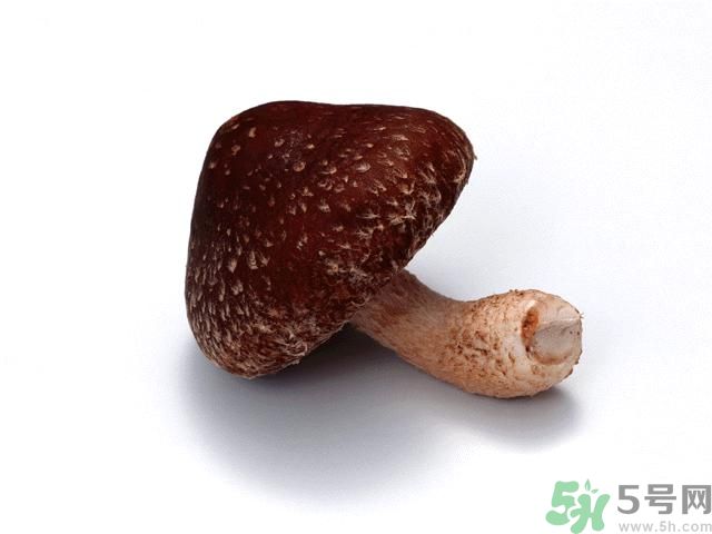 西紅柿發(fā)青可以吃嗎？青西紅柿吃了好不好？
