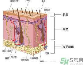 為什么頭發(fā)越來(lái)越油？頭發(fā)應(yīng)該幾天洗一次？