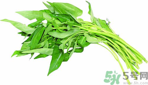 空心菜和雞能一起吃嗎？空心菜怎么吃有營(yíng)養(yǎng)？