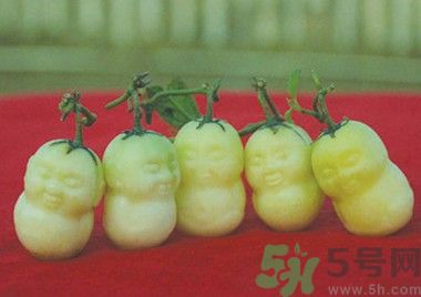 人參果怎么吃？人參果的營(yíng)養(yǎng)價(jià)值有哪些？