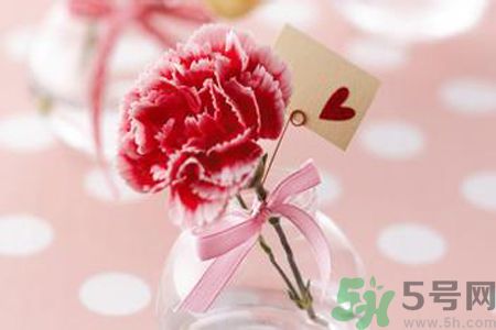 母親節(jié)送什么顏色的康乃馨？母親節(jié)應(yīng)該買什么顏色的康乃馨？