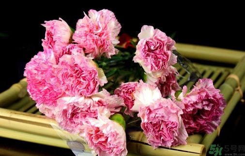 母親節(jié)送什么花好？母親節(jié)應(yīng)該送什么鮮花？