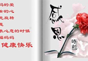 母親節(jié)送什么花好？母親節(jié)應該送什么鮮花？