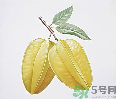 楊桃和什么不能一起吃？楊桃不能與什么同食？