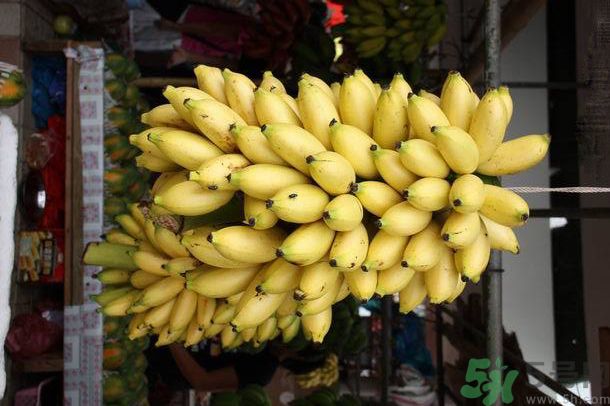 孕婦可以吃牛奶蕉嗎？孕婦吃牛奶蕉好嗎？