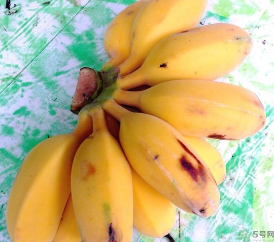 什么是牛奶蕉？牛奶蕉好吃嗎？