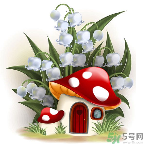 吃蘑菇可以喝酒嗎？吃蘑菇喝酒會(huì)中毒嗎？