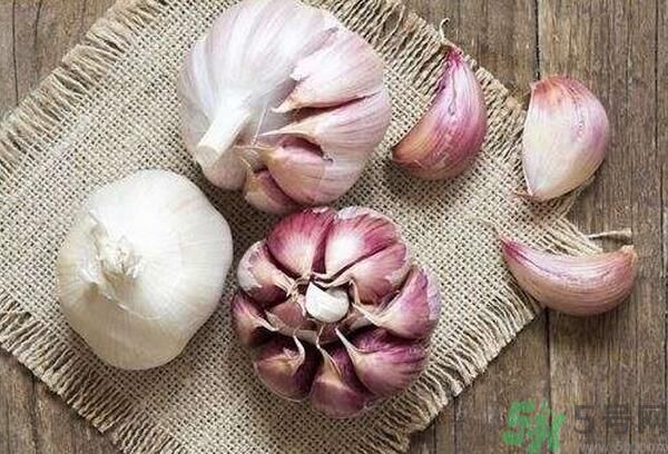 提高記憶力要吃什么食物？吃什么食物提高記憶力？