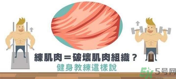 練肌肉會破壞肌肉組織嗎？練肌肉要注意什么呢？