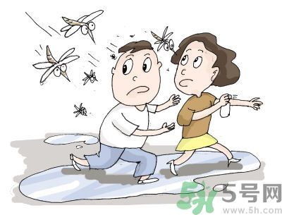 被蚊子咬很癢怎么辦？被蚊子咬要怎么止癢？