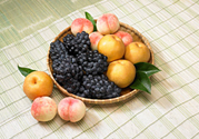 桃子和梨子能一起吃嗎？桃子和梨子一起吃好嗎？