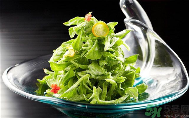 什么是冰草？冰草有什么作用？