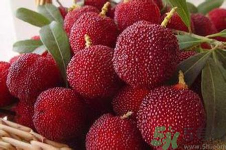楊梅是不是發(fā)物？楊梅是發(fā)物嗎？