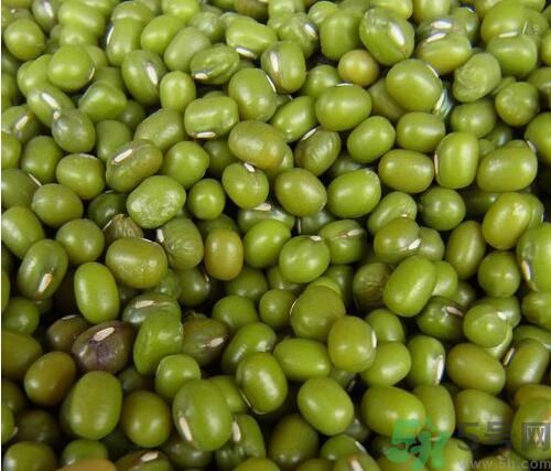 吃綠豆可以減肥嗎？喝綠豆湯能減肥嗎？